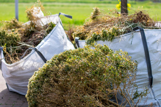 Trusted Piedmont, MO Junk Removal Experts